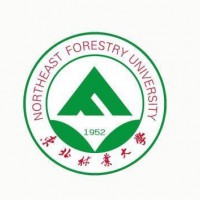 东北林业大学211工程院校自考本科国家承认学历毕业快